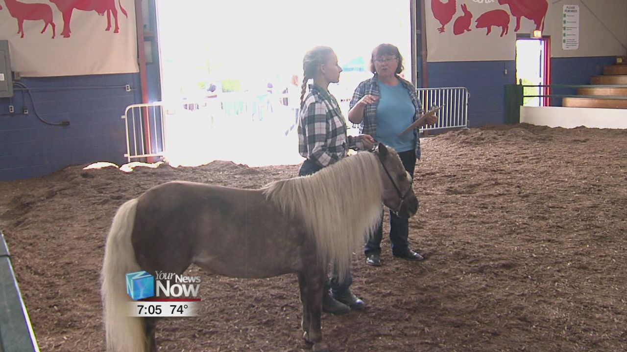 Junior Fair hosts Champion of Champions to crown the best showman1.jpg